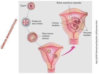 h%p://dc347.4shared.com/doc/eRre_tN7/preview.html"
 