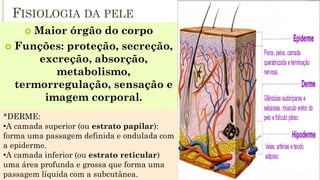 FISIOLOGIA DA PELE
 Maior órgão do corpo
 Funções: proteção, secreção,
excreção, absorção,
metabolismo,
termorregulação, sensação e
imagem corporal.
*DERME:
•A camada superior (ou estrato papilar):
forma uma passagem definida e ondulada com
a epiderme.
•A camada inferior (ou estrato reticular)
uma área profunda e grossa que forma uma
passagem líquida com a subcutânea.
 