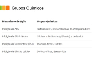 Grupos Químicos
 