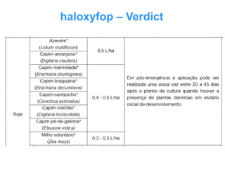 haloxyfop – Verdict
 