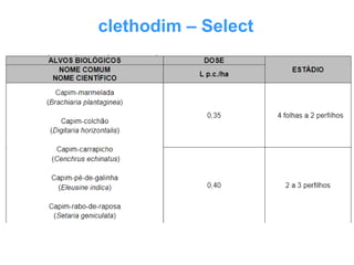 clethodim – Select
 