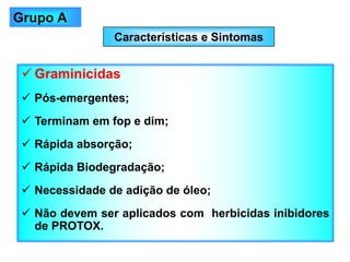 Características e Sintomas
✓ Graminicidas
✓ Pós-emergentes;
✓ Terminam em fop e dim;
✓ Rápida absorção;
✓ Rápida Biodegradação;
✓ Necessidade de adição de óleo;
✓ Não devem ser aplicados com herbicidas inibidores
de PROTOX.
Grupo A
 