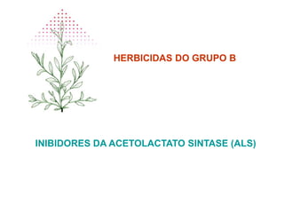 HERBICIDAS DO GRUPO B
INIBIDORES DA ACETOLACTATO SINTASE (ALS)
 