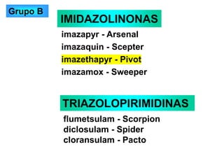 IMIDAZOLINONAS
imazapyr - Arsenal
imazaquin - Scepter
imazethapyr - Pivot
imazamox - Sweeper
TRIAZOLOPIRIMIDINAS
flumetsulam - Scorpion
diclosulam - Spider
cloransulam - Pacto
Grupo B
 
