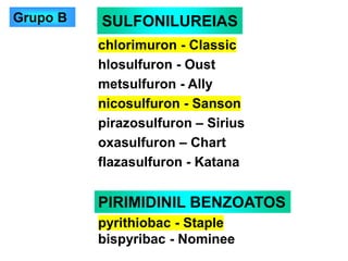 SULFONILUREIAS
chlorimuron - Classic
hlosulfuron - Oust
metsulfuron - Ally
nicosulfuron - Sanson
pirazosulfuron – Sirius
oxasulfuron – Chart
flazasulfuron - Katana
PIRIMIDINIL BENZOATOS
pyrithiobac - Staple
bispyribac - Nominee
Grupo B
 