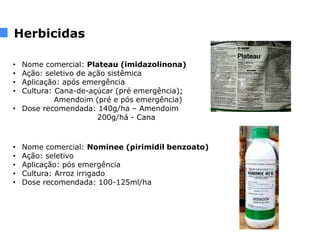 • Nome comercial: Plateau (imidazolinona)
• Ação: seletivo de ação sistêmica
• Aplicação: após emergência
• Cultura: Cana-de-açúcar (pré emergência);
Amendoim (pré e pós emergência)
• Dose recomendada: 140g/ha – Amendoim
200g/há - Cana
• Nome comercial: Nominee (pirimidil benzoato)
• Ação: seletivo
• Aplicação: pós emergência
• Cultura: Arroz irrigado
• Dose recomendada: 100-125ml/ha
Herbicidas
 