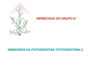 HERBICIDAS DO GRUPO D
INIBIDORES DA FOTOSSÍNTESE (FOTOSSISTEMA I)
 