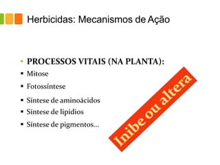 Herbicidas: Mecanismos de Ação
• PROCESSOS VITAIS (NA PLANTA):
▪ Mitose
▪ Fotossíntese
▪ Síntese de aminoácidos
▪ Síntese de lipídios
▪ Síntese de pigmentos...
 