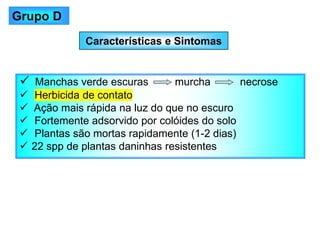 Características e Sintomas
✓ Manchas verde escuras murcha necrose
✓ Herbicida de contato
✓ Ação mais rápida na luz do que no escuro
✓ Fortemente adsorvido por colóides do solo
✓ Plantas são mortas rapidamente (1-2 dias)
✓ 22 spp de plantas daninhas resistentes
Grupo D
 