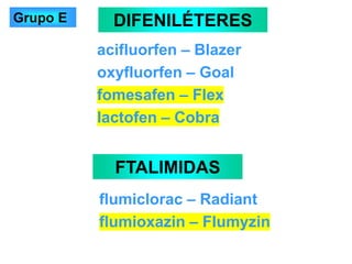 acifluorfen – Blazer
oxyfluorfen – Goal
fomesafen – Flex
lactofen – Cobra
DIFENILÉTERES
FTALIMIDAS
flumiclorac – Radiant
flumioxazin – Flumyzin
Grupo E
 