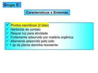 Características e Sintomas
✓ Pontos necróticos (2 dias)
✓ Herbicida de contato
✓ Requer luz para atividade
✓ Fortemente adsorvido por matéria orgânica
✓ Altamente adsorvido pelo solo
✓ 1 sp de planta daninha resistente
Grupo E
 