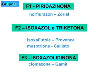 norflurazon – Zorial
F1 - PIRIDAZINONA
F3 - ISOXAZOLIDINONA
clomazone – Gamit
F2 – ISOXAZOL e TRIKETONA
isoxaflutole – Provence
mesotrione - Callisto
Grupo F
 