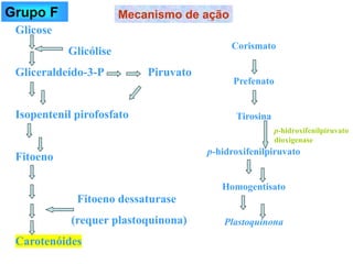 Glicose
Glicólise
Gliceraldeído-3-P Piruvato
Isopentenil pirofosfato
Fitoeno
Fitoeno dessaturase
(requer plastoquinona)
Carotenóides
Corismato
Prefenato
Tirosina
p-hidroxifenilpiruvato
Homogentisato
Plastoquinona
p-hidroxifenilpiruvato
dioxigenase
Mecanismo de ação
Grupo F
 