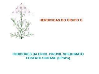 HERBICIDAS DO GRUPO G
INIBIDORES DA ENOIL PIRUVIL SHIQUIMATO
FOSFATO SINTASE (EPSPs)
 