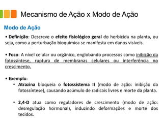 Mecanismo de Ação x Modo de Ação
• Definição: Descreve o efeito fisiológico geral do herbicida na planta, ou
seja, como a perturbação bioquímica se manifesta em danos visíveis.
• Foco: A nível celular ou orgânico, englobando processos como inibição da
fotossíntese, ruptura de membranas celulares ou interferência no
crescimento.
• Exemplo:
• Atrazina bloqueia o fotossistema II (modo de ação: inibição da
fotossíntese), causando acúmulo de radicais livres e morte da planta.
• 2,4-D atua como reguladores de crescimento (modo de ação:
desregulação hormonal), induzindo deformações e morte dos
tecidos.
Modo de Ação
 