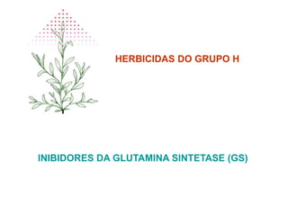 HERBICIDAS DO GRUPO H
INIBIDORES DA GLUTAMINA SINTETASE (GS)
 