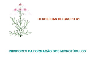 HERBICIDAS DO GRUPO K1
INIBIDORES DA FORMAÇÃO DOS MICROTÚBULOS
 