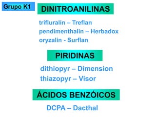 trifluralin – Treflan
pendimenthalin – Herbadox
oryzalin - Surflan
DINITROANILINAS
ÁCIDOS BENZÓICOS
DCPA – Dacthal
PIRIDINAS
dithiopyr – Dimension
thiazopyr – Visor
Grupo K1
 