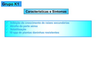 Características e Sintomas
✓ Inibição do crescimento de raízes secundárias
✓ Atrofia da parte aérea
✓ Volatilização
✓ 10 spp de plantas daninhas resistentes
Grupo K1
 
