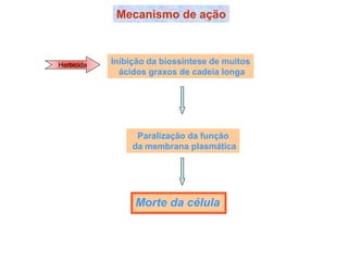 Mecanismo de ação
Herbicida Inibição da biossíntese de muitos
ácidos graxos de cadeia longa
Paralização da função
da membrana plasmática
Morte da célula
 