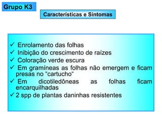 Características e Sintomas
✓ Enrolamento das folhas
✓ Inibição do crescimento de raízes
✓ Coloração verde escura
✓ Em gramíneas as folhas não emergem e ficam
presas no “cartucho“
✓ Em dicotiledôneas as folhas ficam
encarquilhadas
✓ 2 spp de plantas daninhas resistentes
Grupo K3
 
