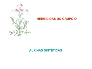 HERBICIDAS DO GRUPO O
AUXINAS SINTÉTICAS
 