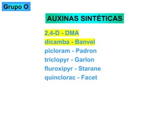 2,4-D - DMA
dicamba - Banvel
picloram - Padron
triclopyr - Garlon
fluroxipyr - Starane
quinclorac - Facet
AUXINAS SINTÉTICAS
Grupo O
 