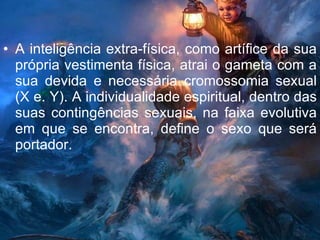 A inteligência extra-física, como artífice da sua própria vestimenta física, atrai o gameta com a sua devida e necessária cromossomia sexual (X e. Y). A individualidade espiritual, dentro das suas contingências sexuais, na faixa evolutiva em que se encontra, define o sexo que será portador. 