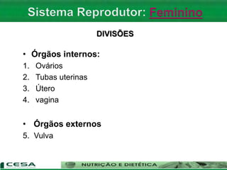 DIVISÕES
• Órgãos internos:
1. Ovários
2. Tubas uterinas
3. Útero
4. vagina
• Órgãos externos
5. Vulva
 