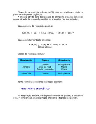 Obtenção de energia química (ATP) para as atividades vitais, a
partir de compostos orgânicos.
A energia obtida pela degradação do composto orgânico (glicose)
ocorre através da respiração aeróbia ou anaeróbia (ou fermentação).
Equação geral da respiração aeróbia:
C6H12O6 + 6O2 + 6H2O ‡ 6CO2 + 12H2O + 38ATP
Equação da fermentação alcoólica:
C6H12O6 ‡ 2C2H5OH + 2CO2 + 2ATP
(álcool etílico)
Etapas da respiração celular:
Tanto fermentação quanto respiração ocorrem:
• RENDIMENTO ENERGÉTICO
Na respiração aeróbia, há degradação total de glicose; a produção
de ATP é maior que a na respiração anaeróbia (degradação parcial).
Respiração Etapas Ocorrência
Aeróbia
Glicose
Ciclo de Kreb
Cadeia respiração
Hialoplasma
Matriz
Crista
Anaeróbia Glicose Hialoplasma
 