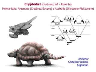 Cryptodira (Jurássico inf. - Recente)
Meiolanidae: Argentina (Cretáceo/Eoceno) e Austrália (Oligoceno-Pleistoceno)
Niolamia
Cretáceo/Eoceno
Argentina
 