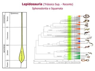 Lepidosauria (Triássico Sup. - Recente)
Sphenodontia e Squamata
 