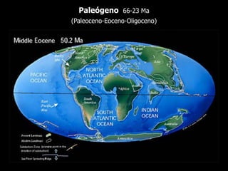 Paleógeno 66-23 Ma
(Paleoceno-Eoceno-Oligoceno)
 