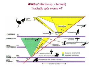 Aves (Cretáceo sup. - Recente)
Irradiação após evento K-T
 