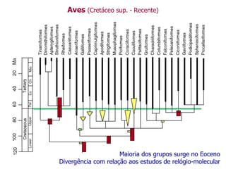 Aves (Cretáceo sup. - Recente)
Maioria dos grupos surge no Eoceno
Divergência com relação aos estudos de relógio-molecular
 