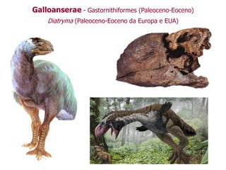 Galloanserae - Gastornithiformes (Paleoceno-Eoceno)
Diatryma (Paleoceno-Eoceno da Europa e EUA)
 