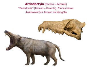 Artiodactyla (Eoceno – Recente)
“Bunodontia” (Eoceno – Recente): formas basais
Andrewsarchus: Eoceno da Mongólia
 