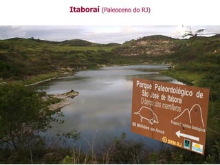 Itaboraí (Paleoceno do RJ)
 