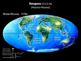 Neogeno 23-2,5 Ma
(Mioceno-Plioceno)
 