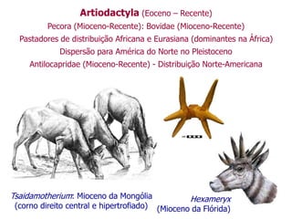 Artiodactyla (Eoceno – Recente)
Pecora (Mioceno-Recente): Bovidae (Mioceno-Recente)
Pastadores de distribuição Africana e Eurasiana (dominantes na África)
Dispersão para América do Norte no Pleistoceno
Antilocapridae (Mioceno-Recente) - Distribuição Norte-Americana
Hexameryx
(Mioceno da Flórida)
Tsaidamotherium: Mioceno da Mongólia
(corno direito central e hipertrofiado)
 