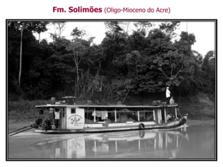 Fm. Solimões (Oligo-Mioceno do Acre)
 