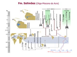 Fm. Solimões (Oligo-Mioceno do Acre)
 
