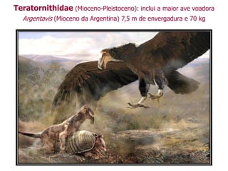 Teratornithidae (Mioceno-Pleistoceno): inclui a maior ave voadora
Argentavis (Mioceno da Argentina) 7,5 m de envergadura e 70 kg
 
