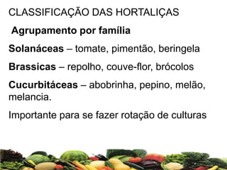 CLASSIFICAÇÃO DAS HORTALIÇAS
Agrupamento por família
Solanáceas – tomate, pimentão, beringela
Brassicas – repolho, couve-flor, brócolos
Cucurbitáceas – abobrinha, pepino, melão,
melancia.
Importante para se fazer rotação de culturas
 