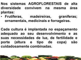 Nos sistemas AGROFLORESTAIS de alta
diversidade convivem na mesma área
plantas:
• Frutíferas, madeireiras, graníferas;
ornamentais, medicinais e forrageiras.
Cada cultura é implantada no espaçamento
adequado ao seu desenvolvimento e as
suas necessidades de luz, de fertilidade e
porte (altura e tipo de copa) são
cuidadosamente combinadas.
 