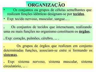 ORGANIZAÇÃO
• Os conjuntos ou grupos de células semelhantes que
realizam funções idênticas designam-se por tecidos.
• Exp: tecido nervoso, muscular, sangue... .
. Os conjuntos de tecidos que interactuam, realizando
uma ou mais funções no organismo constituem os órgãos.
. Exp: coração, pulmões, cérebro, ... .
. Os grupos de órgãos que realizam em conjunto
determinadas funções, associam-se entre si formando os
sistemas.
. Exp: sistema nervoso, sistema muscular, sistema
circulatório, ... .
 