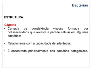 Bactérias
ESTRUTURA:
Cápsula
• Camada de consistência viscosa formada por
polissacarídeos que reveste a parede celular em algumas
bactérias;
• Relaciona-se com a capacidade de aderência;
• É encontrada principalmente nas bactérias patogênicas.
 