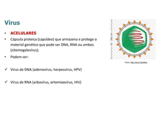Vírus
• ACELULARES
• Cápsula proteica (capsídeo) que armazena e protege o
material genético que pode ser DNA, RNA ou ambos
(citomegalovírus);
• Podem ser:
 Vírus de DNA (adenovírus, herpesvírus, HPV)
 Vírus de RNA (arbovírus, ortomixovírus, HIV)
Fonte: http://bit.ly/32IwKna
 