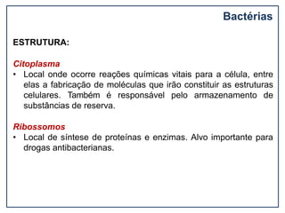 Bactérias
ESTRUTURA:
Citoplasma
• Local onde ocorre reações químicas vitais para a célula, entre
elas a fabricação de moléculas que irão constituir as estruturas
celulares. Também é responsável pelo armazenamento de
substâncias de reserva.
Ribossomos
• Local de síntese de proteínas e enzimas. Alvo importante para
drogas antibacterianas.
 