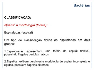 CLASSIFICAÇÃO:
Quanto a morfologia (forma):
divide os espiralados em dois
Espiraladas (espiral)
Um tipo de classificação
grupos:
1.Espiroquetas: apresentam uma forma de espiral flexível,
possuindo flagelos periplasmáticos.
2.Espirilos: exibem geralmente morfologia de espiral incompleta e
rígidos, possuem flagelos externos.
Bactérias
 